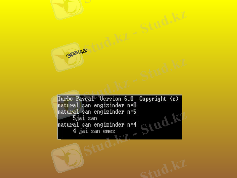 Slide 24