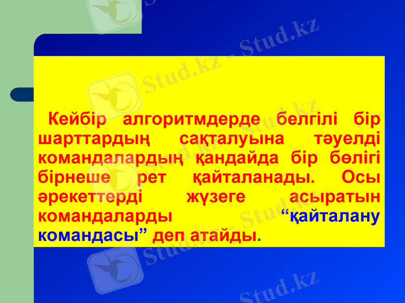 Slide 8
