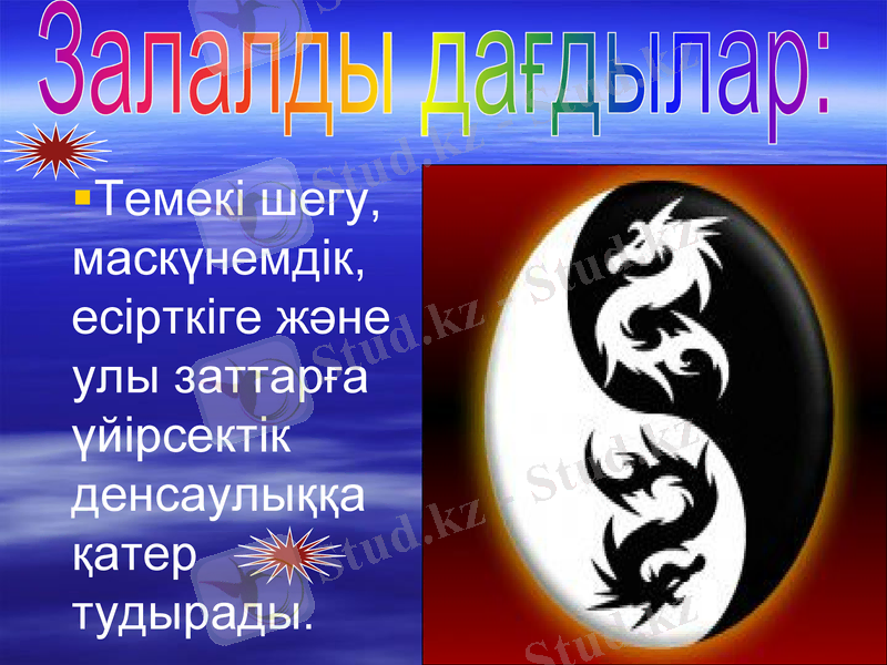 Slide 5