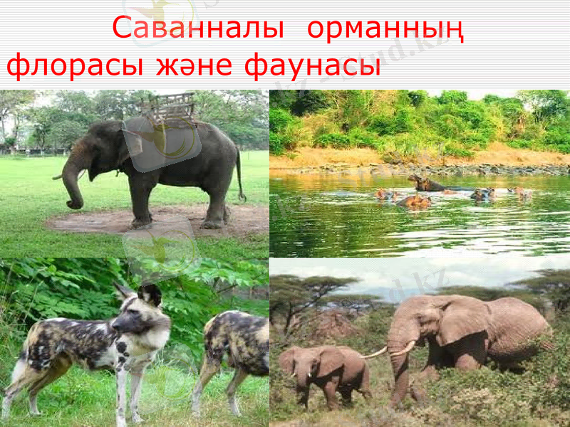 Slide 10