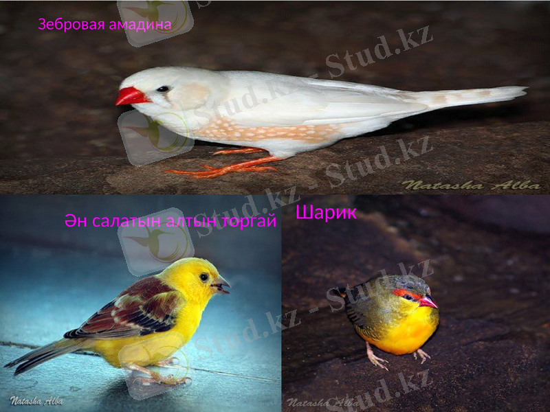 Slide 13