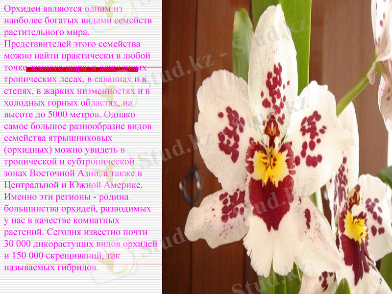 Slide 14
