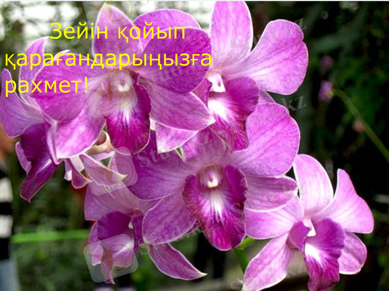 Slide 17