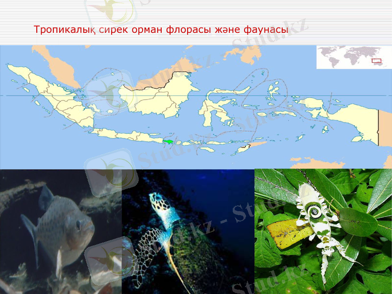 Slide 8