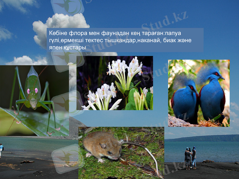 Slide 7