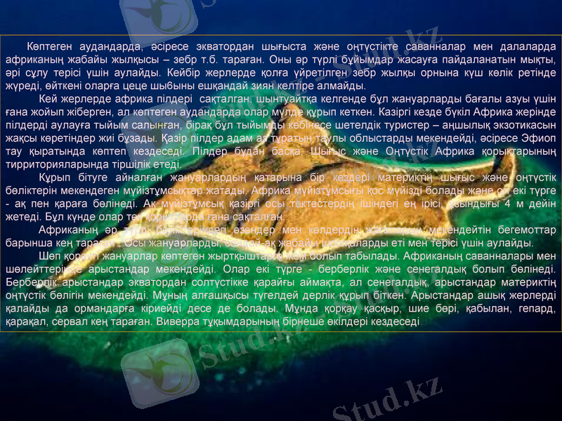 Slide 9