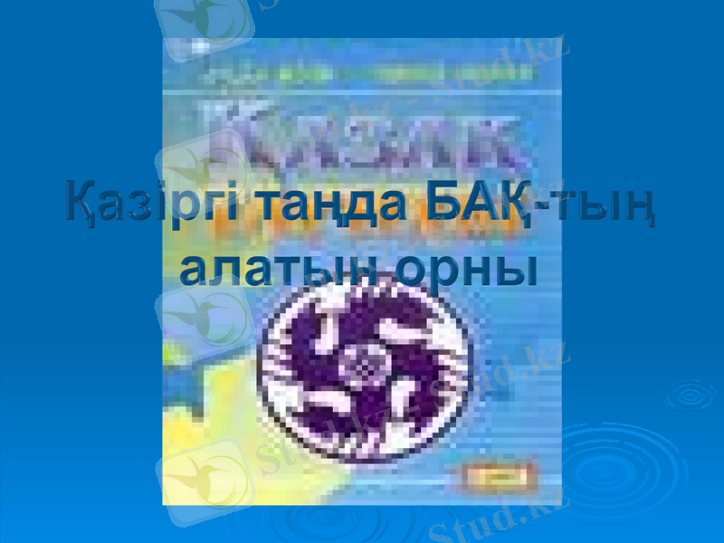 Slide 8