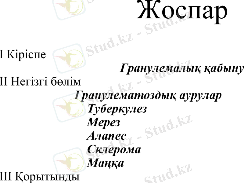 Slide 11