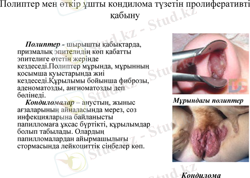 Slide 8