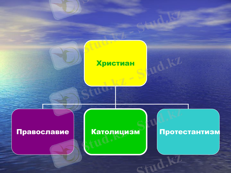 Slide 11