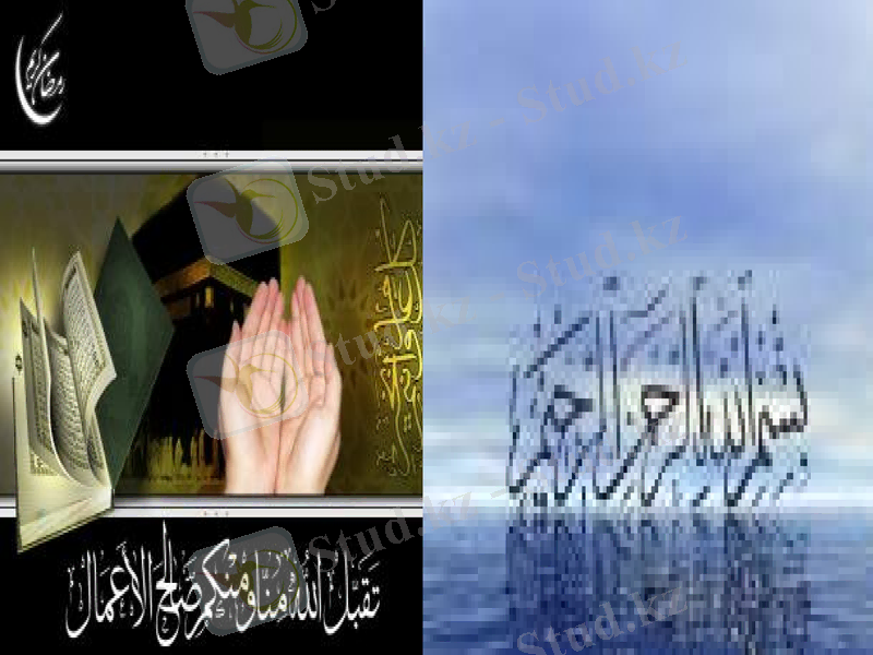 Slide 31