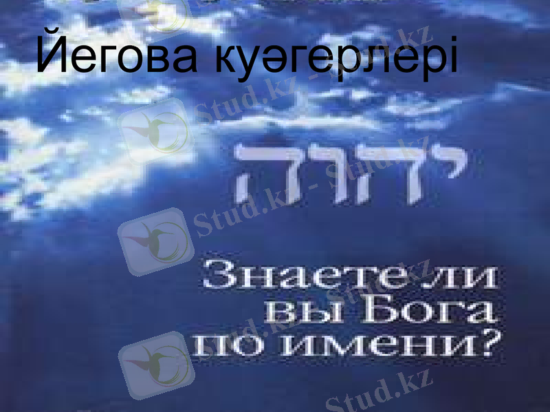 Slide 8