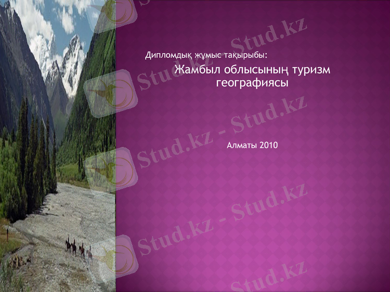 Slide 1