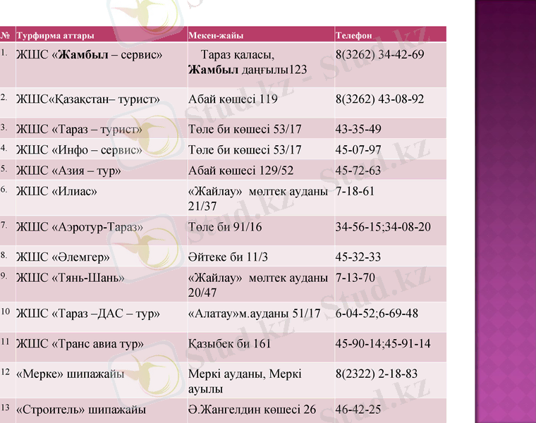 Slide 7