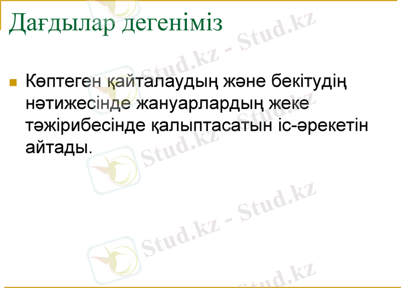 Slide 11