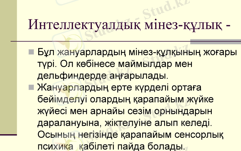 Slide 12