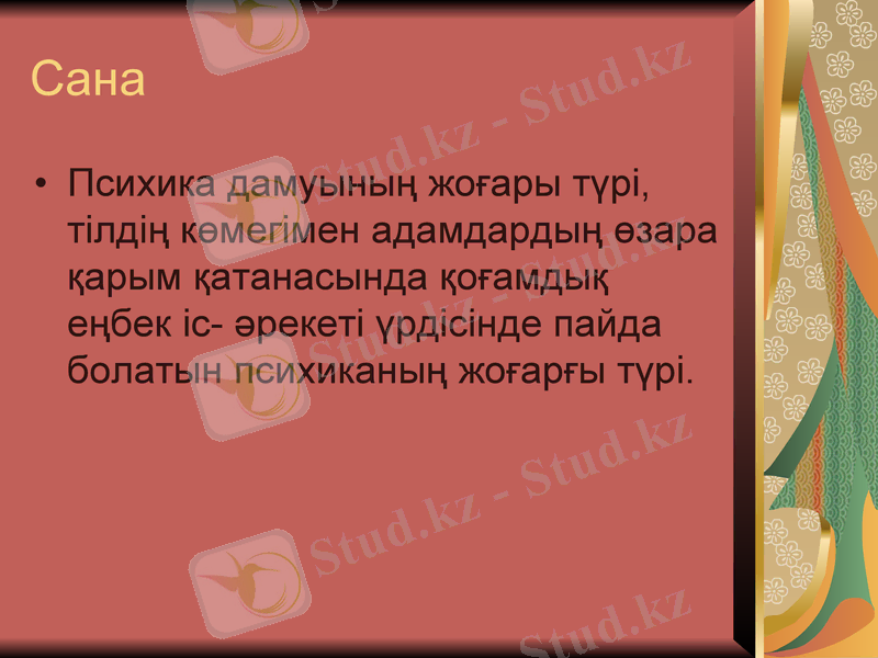Slide 13