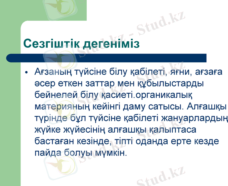Slide 6