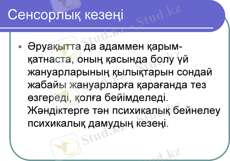 Slide 7