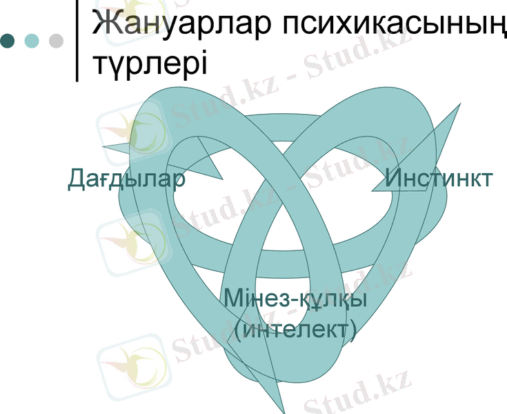 Slide 9