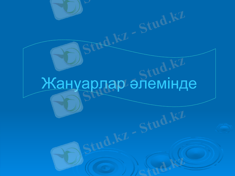 Slide 1