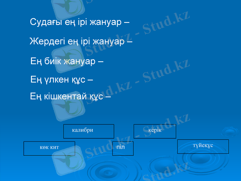 Slide 11