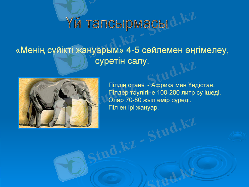 Slide 12