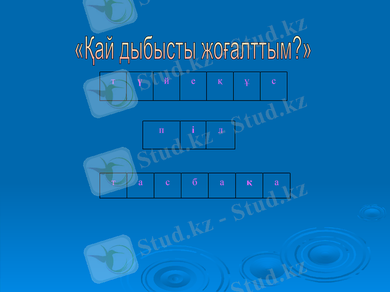 Slide 4