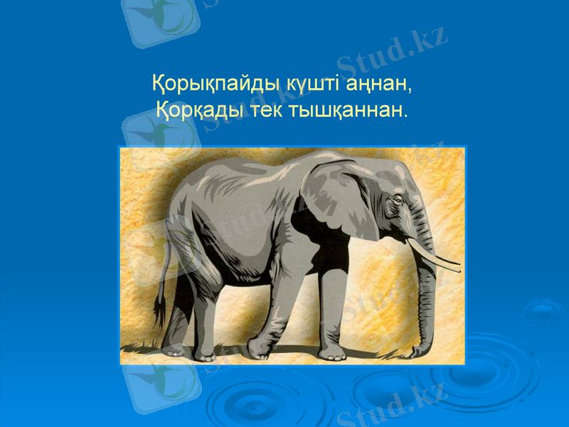 Slide 5
