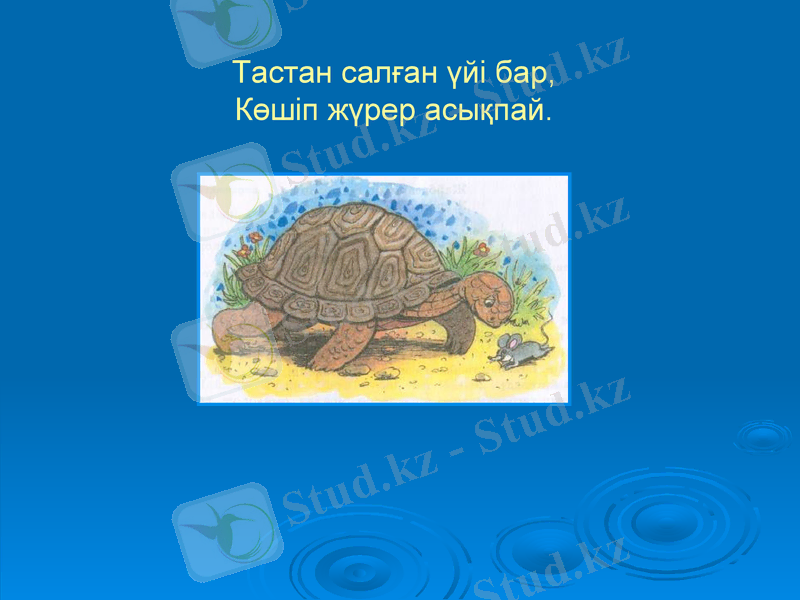 Slide 6