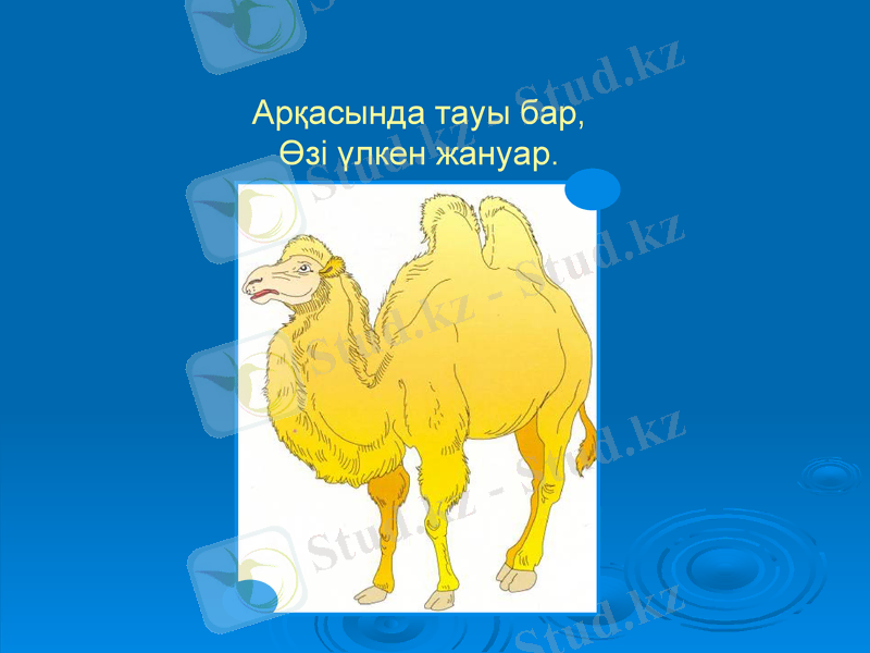 Slide 7