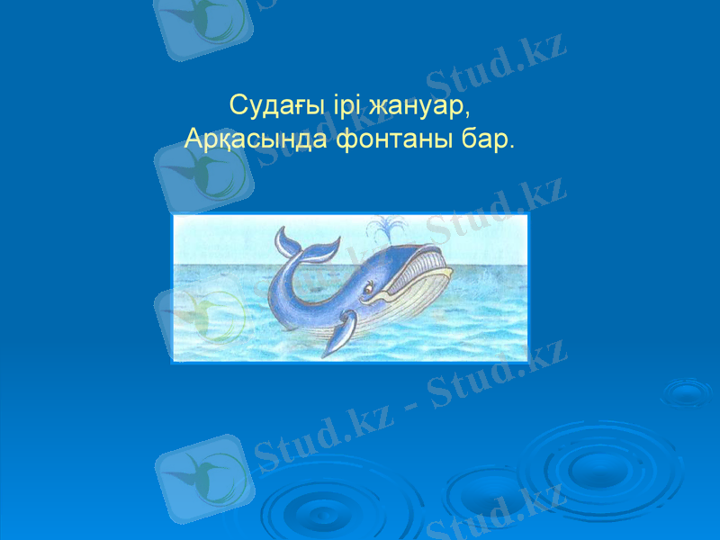 Slide 8
