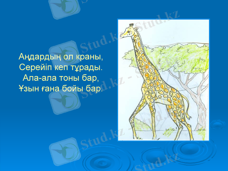 Slide 9