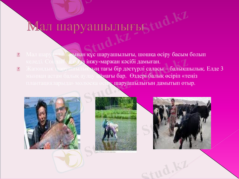 Slide 7