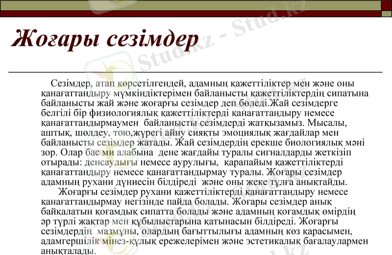 Slide 7