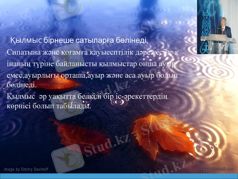 Slide 7