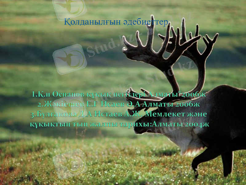 Slide 9