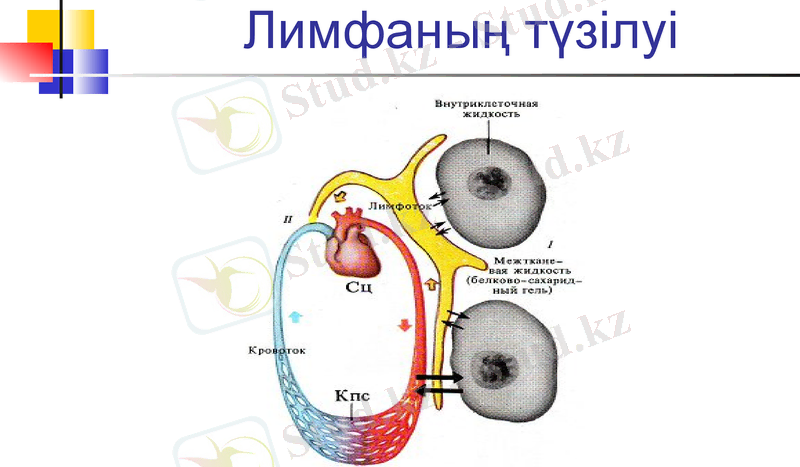 Slide 6
