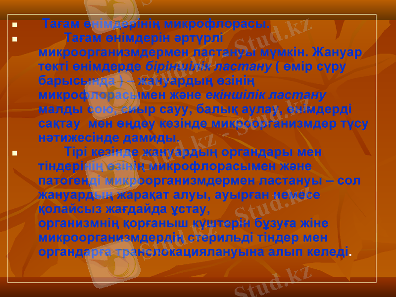 Slide 12