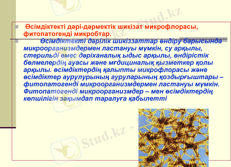 Slide 15