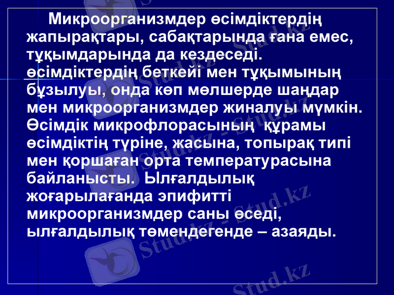 Slide 17