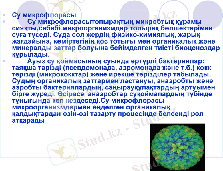 Slide 8