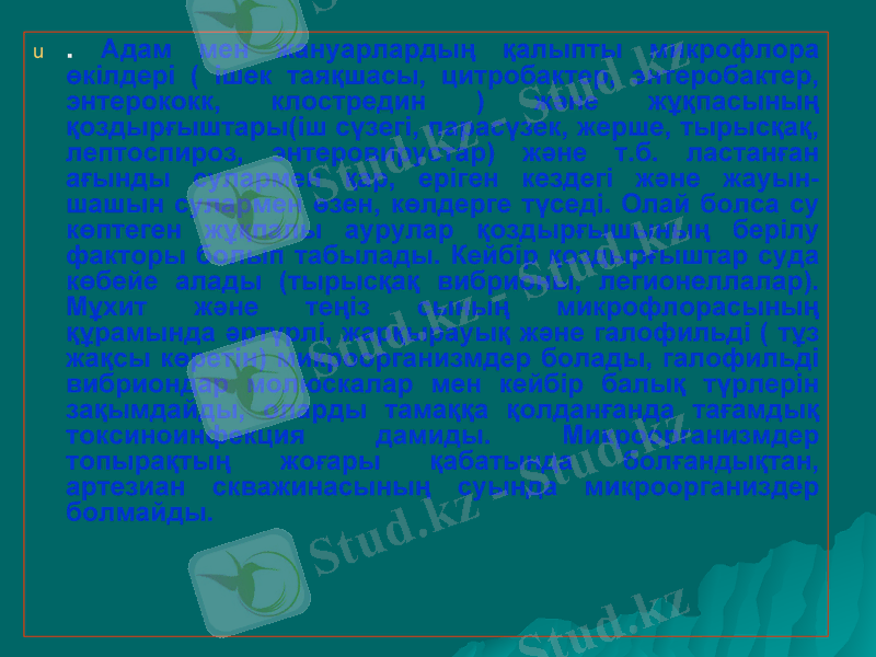Slide 9