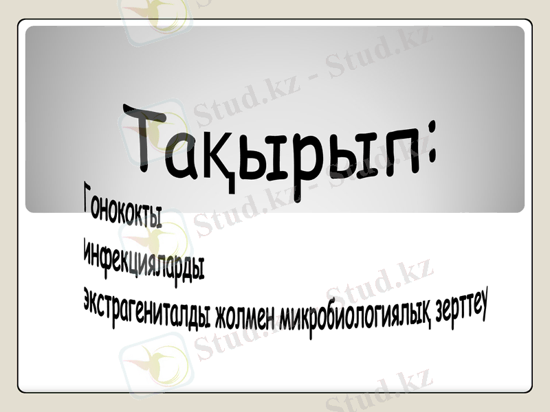 Slide 1