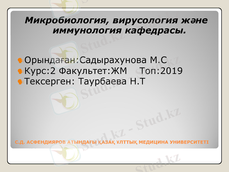 Slide 13