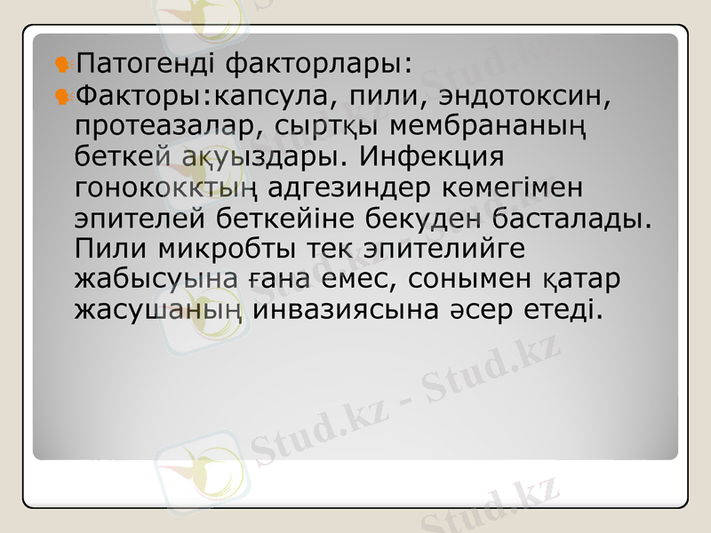Slide 7
