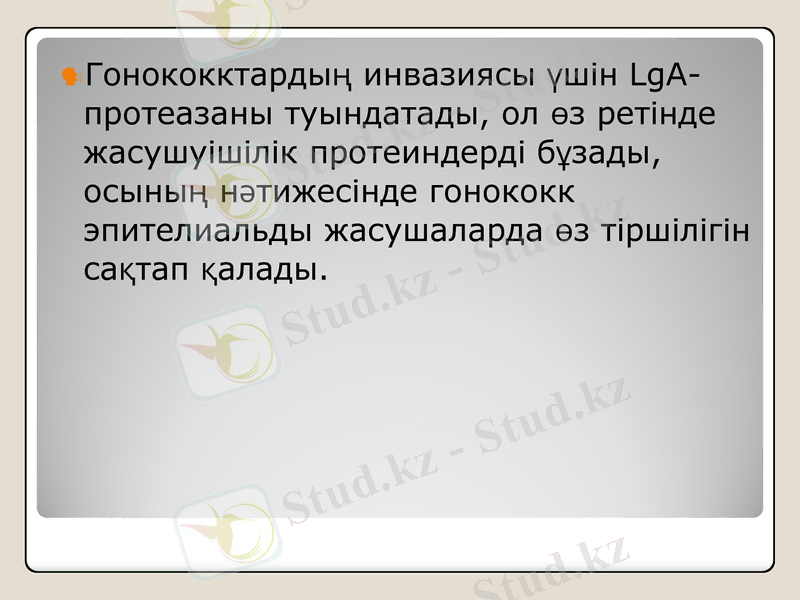 Slide 8