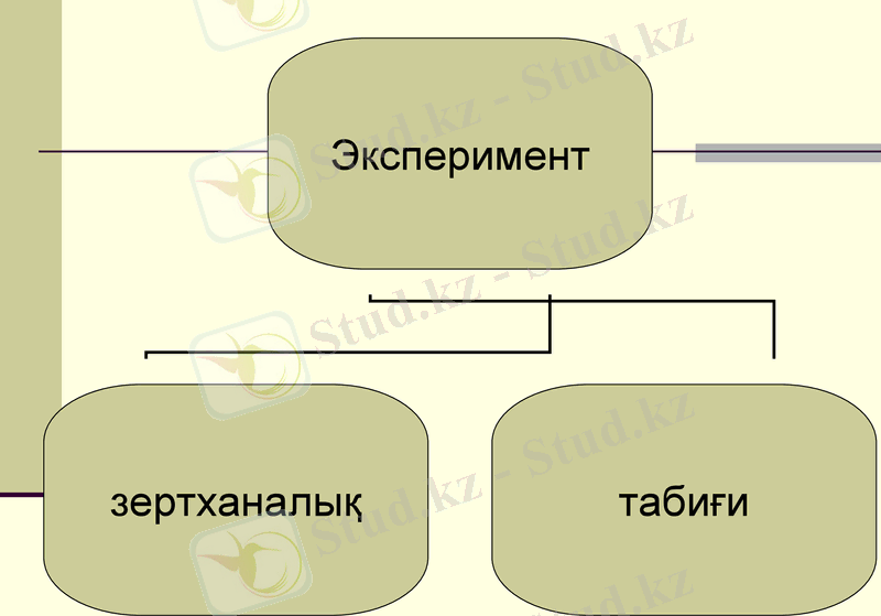 Slide 12