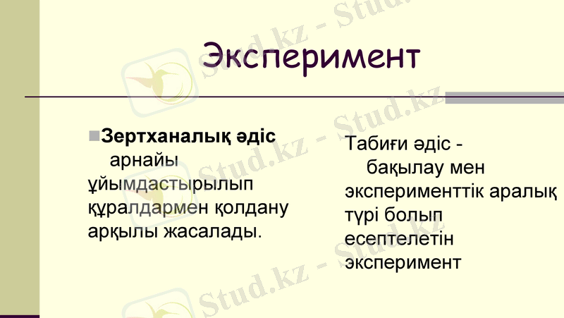 Slide 13
