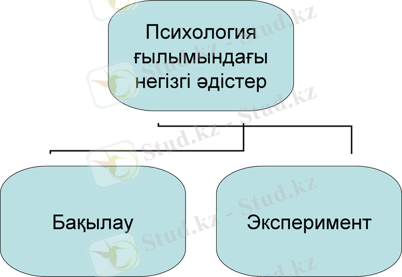 Slide 9